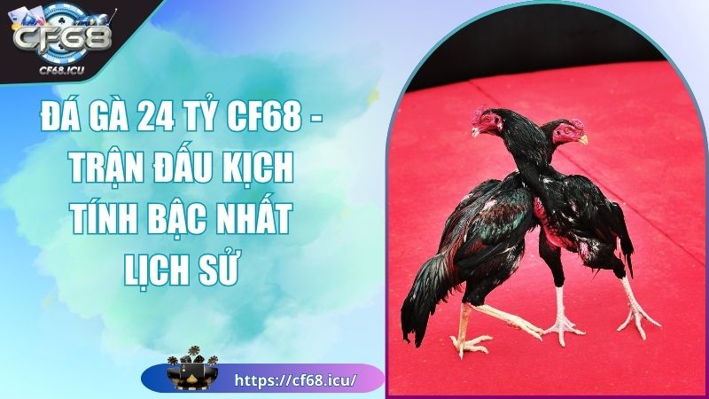 Đá Gà 24 Tỷ CF68 - Trận Đấu Kịch Tính Bậc Nhất Lịch Sử 1 Đá gà 24 Tỷ