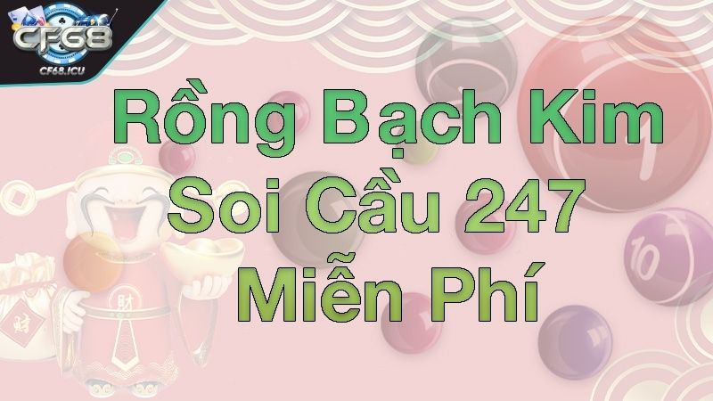 rongbachkim 247 tong quan Tổng quan về rongbachkim 247