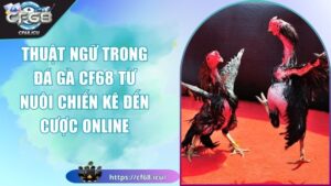 Thuật ngữ trong đá gà